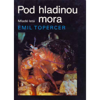 Pod hladinou mora